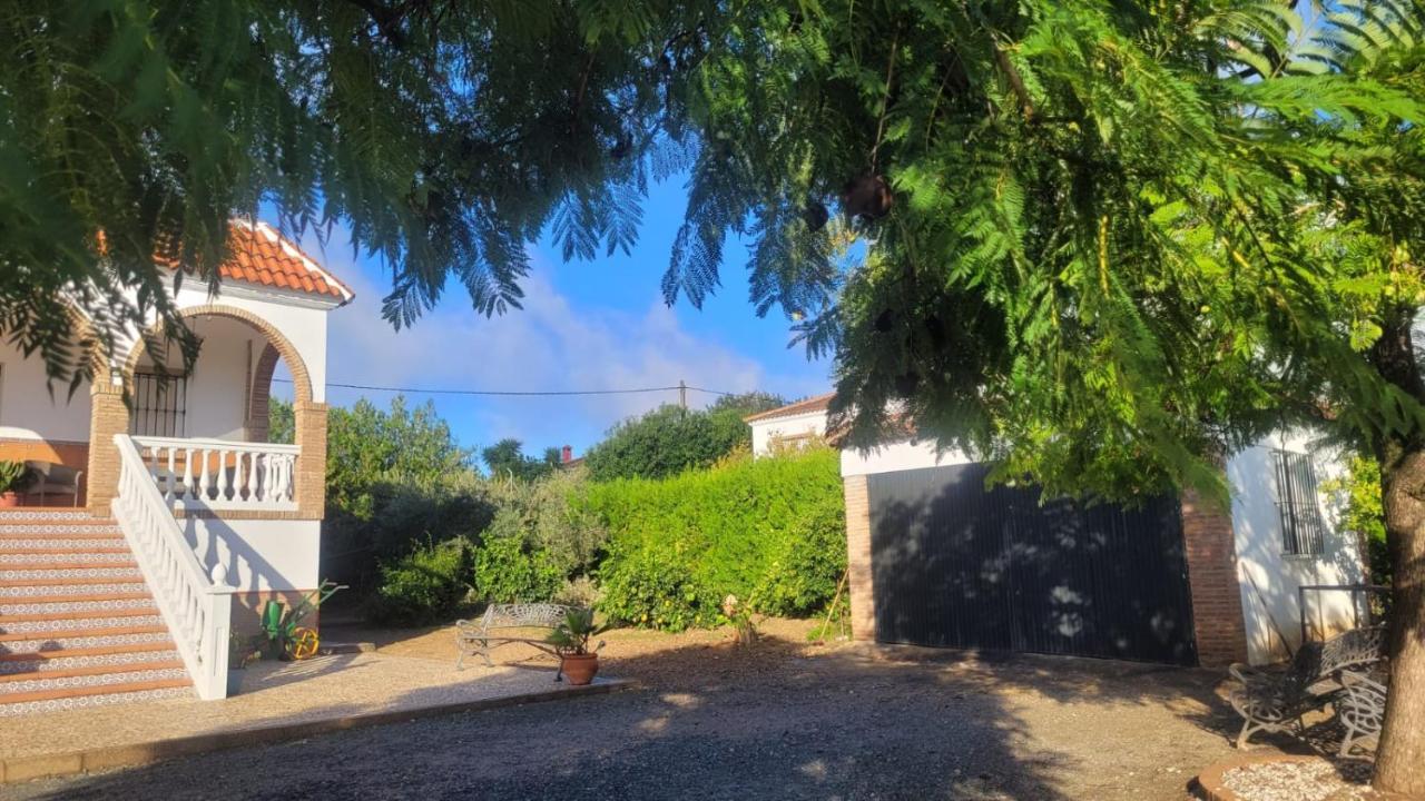 Los Candiles Cantillana Exteriör bild